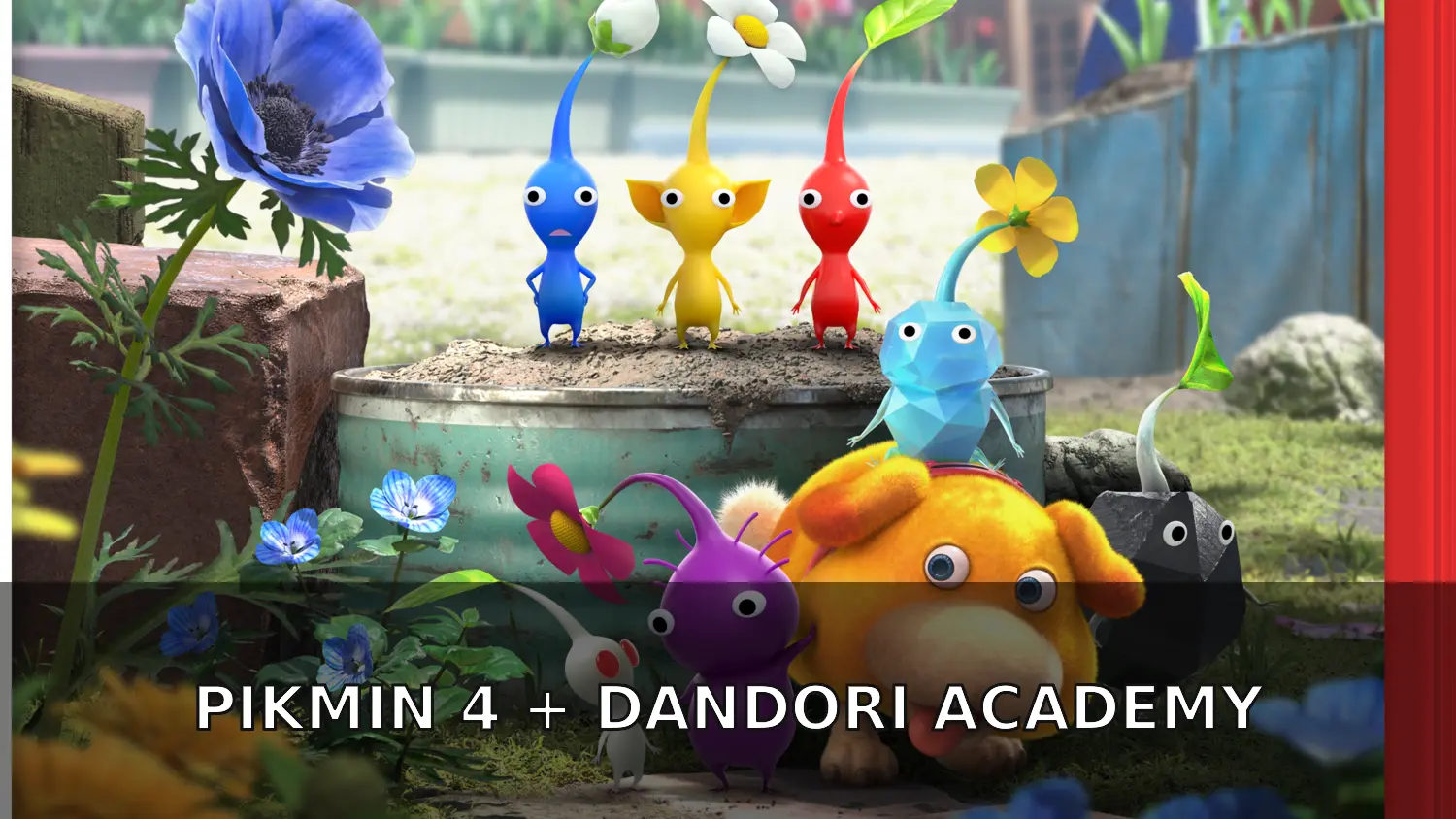 PIKMIN 4 UP + DANDORI ACADEMY